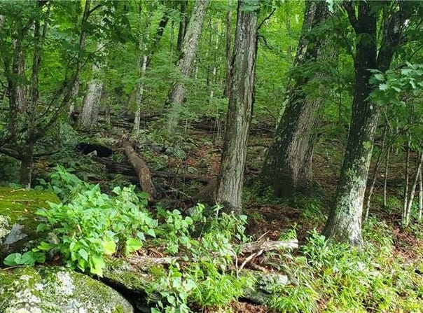Thorncliff Drive lot: 87, Seven Devils, NC 28607