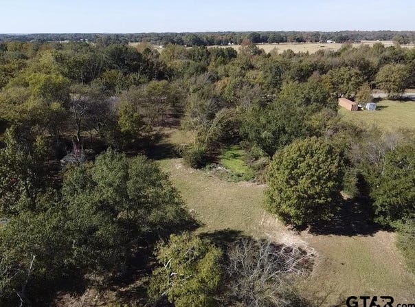 CR 2940, Alba, TX 75410