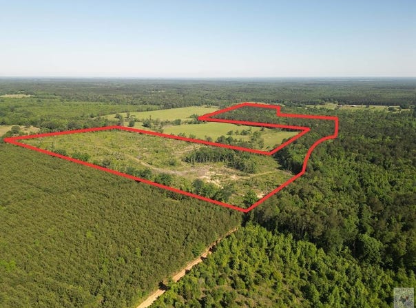 CR 2729, Naples, TX 75568