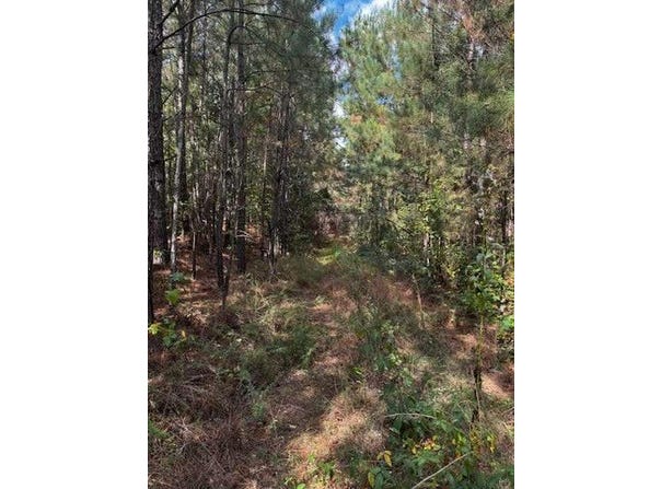 230 Dodgen Road, Hampton, GA 30228