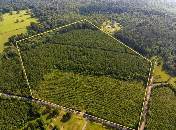 T-2 Ellis West Road, Pitkin, LA 70656