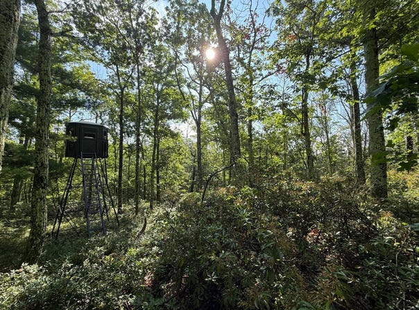 Gumaer Falls Rd, Mamakating, NY 12790