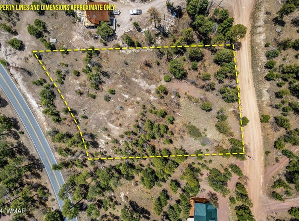 9 2076, Alpine, AZ 85920