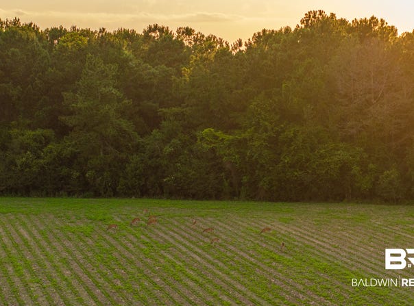 Pine Road S, Stapleton, AL 36578