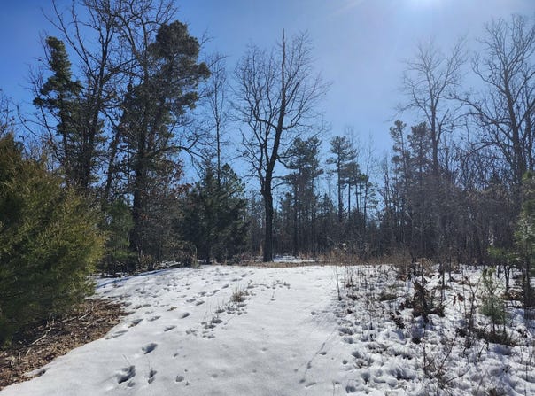Sargent Road, Willow Springs, MO 65793