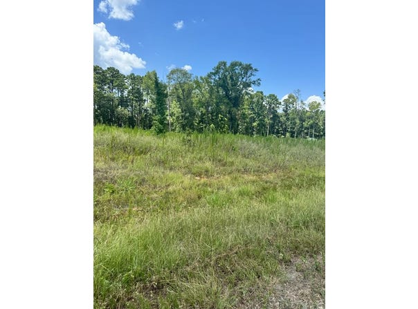 Private Rd 7700 lot: 14, San Augustine, TX 75972