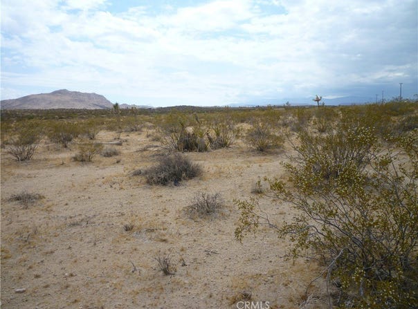 2345 Sunny Sands Drive, Joshua Tree, CA 92252