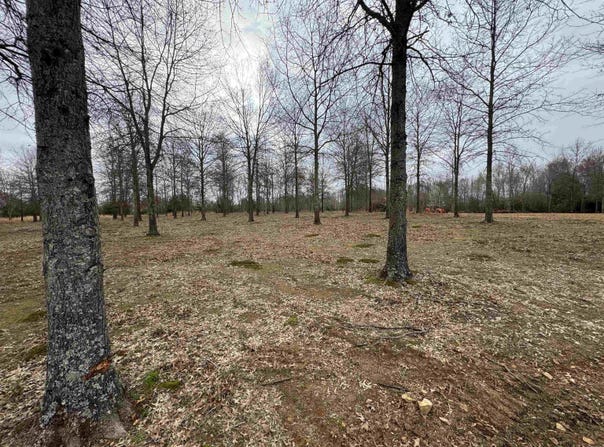 30R River Birch Drive, Guy, AR 72061