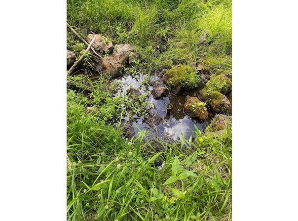 Elk Horn lot: 83, Black Lake, NM 87710