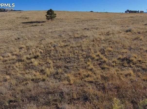 152 Wulstein Way, Westcliffe, CO 81252