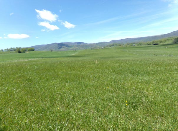 Friars Hill Rd, Trout, WV 24991