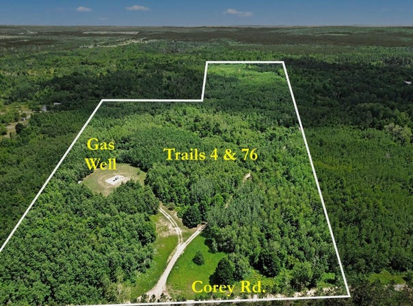VL Corey Road, Mancelona, MI 49659