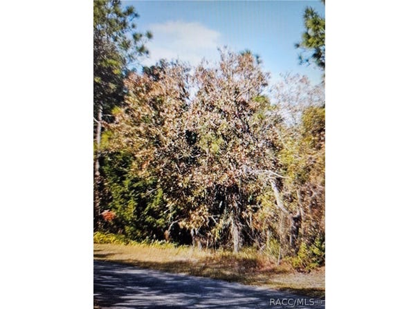 18 Longleaf Court, Homosassa, FL 34446