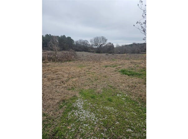 836 county road 7, Greensboro, AL 36744