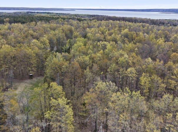 V/L Farrier Road, Hillman, MI 49746