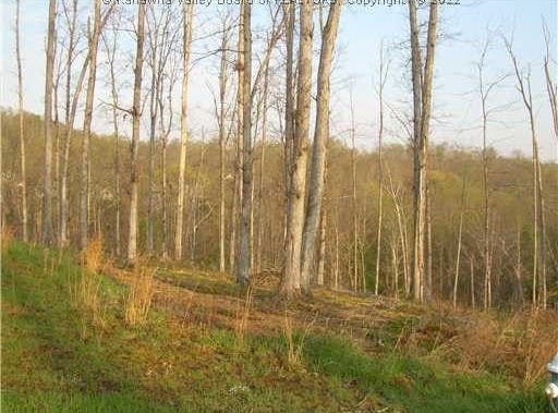 18 Majestic Pointe, Elkview, WV 25071