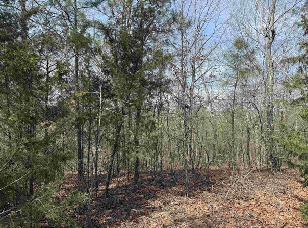 Mustang Drive lot: 49, Clinton, AR 72031