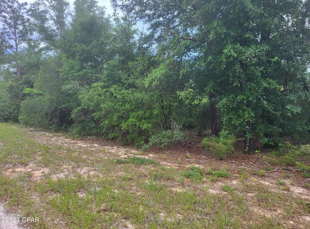 Cherry Circle, Marianna, FL 32448