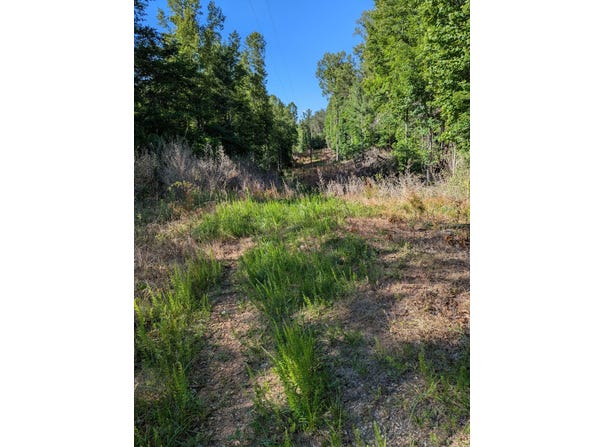Old Forge Rd, Rocky Mount, VA 24151