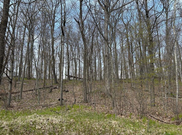 51XX Banyan Drive, Garrison, MN 56450