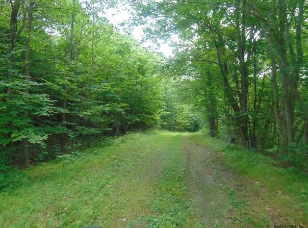 MACE Road, Gilboa, NY 12076
