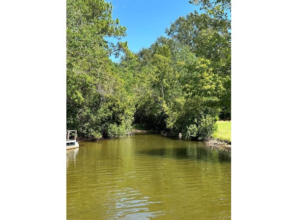 Magnolia Dr, Perkinston, MS 39573