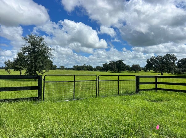NW 464B Highway, MORRISTON, FL 32668