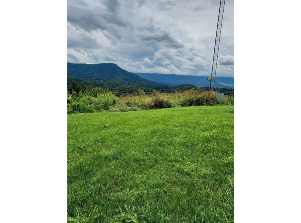 Champion Street lot: 0, Cedar Bluff, VA 24609