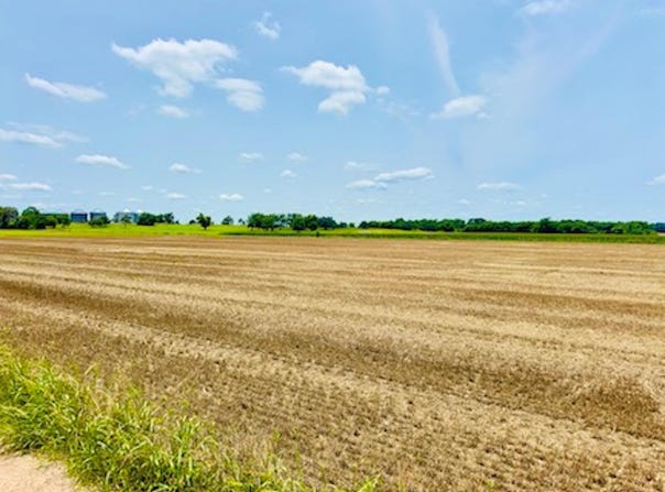 TBD1 FM 406, Buckholts, TX 76518