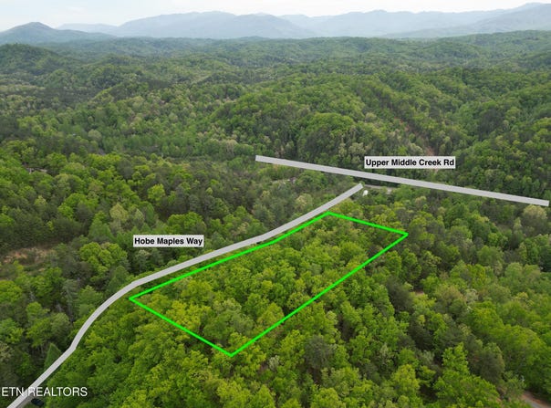 Hobe Maples Way, Sevierville, TN 37876
