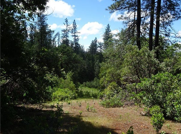 Powell Ridge, Oroville, CA 95966