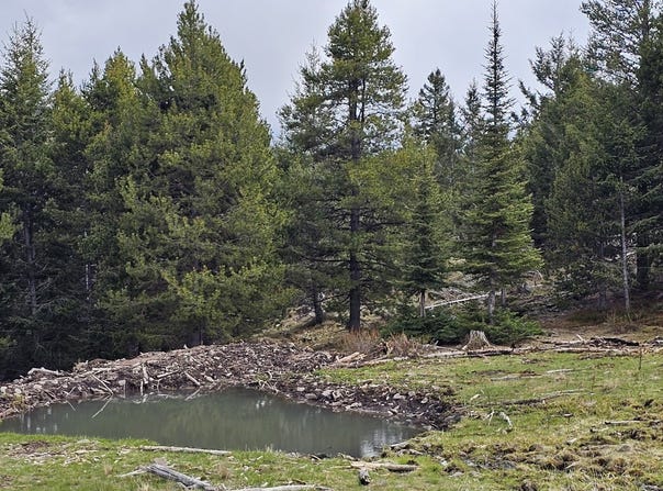 10 Tract, Garnet Range, Drummond, MT 59832