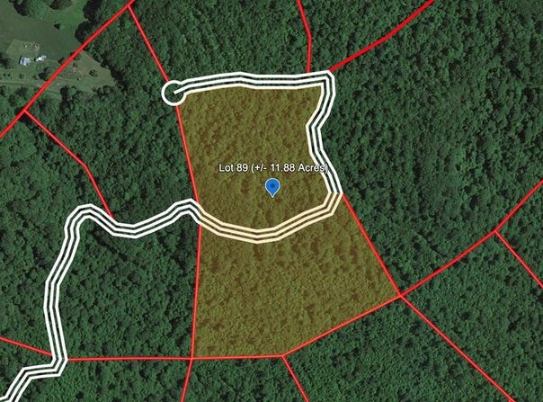 258 EAGLE'S NEST RIDGE, BRAGG, WV 25918