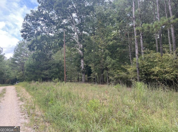 Vinson Road, Tignall, GA 30668
