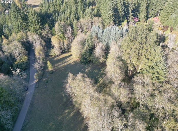NE 142nd Ave, Amboy, WA 98601