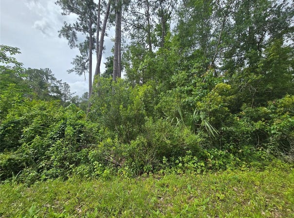 320 SEQUOIA Drive, OCKLAWAHA, FL 32179