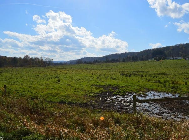 Route 44, Shinglehouse, PA 16748