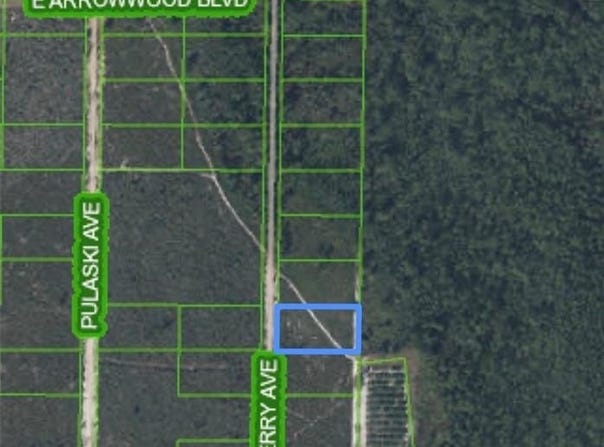 1721 Hackberry Avenue, Avon Park, FL 33825