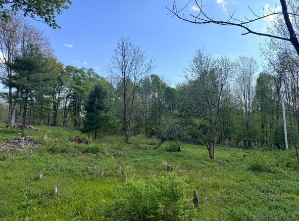 1.10 Curtiss Rd, Camden NY, NY 13316