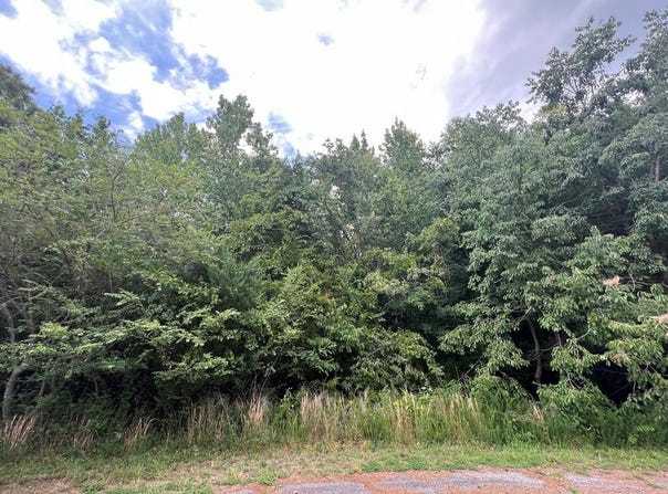 4.18 AC Salishan Drive, Halifax, VA 24558