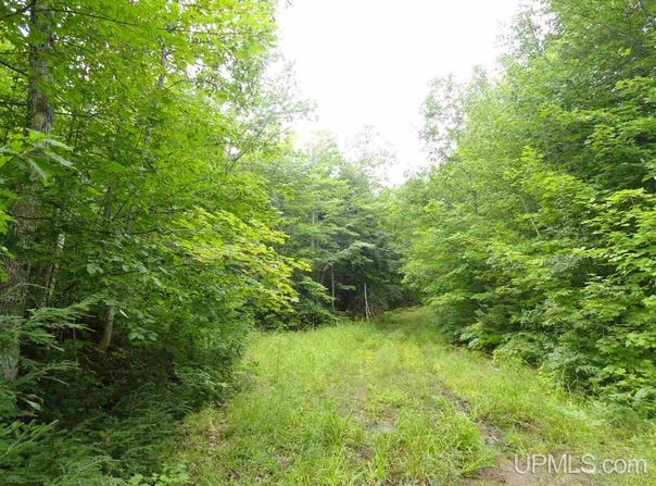 320 Acre Co Rd 510, Marquette, MI 49855