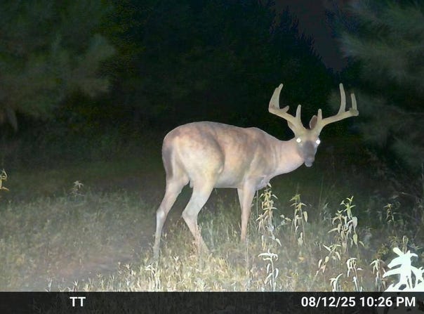 5941 WEST HWY 8, Sparkman, AR 71763
