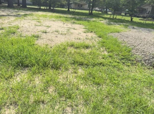 4954 Lost Pine, Chandler, TX 75758