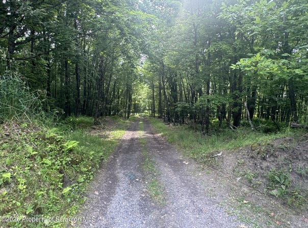 220 Salem Mountain Road, Carbondale, PA 18407