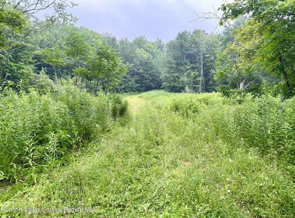 174 High Peak Road, Windham, NY 12496