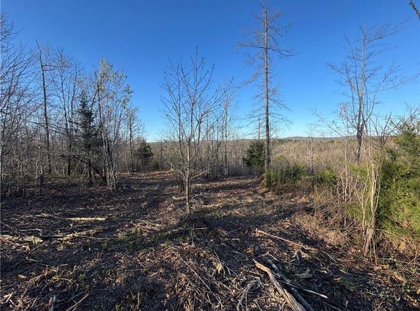 Tract 1 NC 8374 Road, Jasper, AR 72641