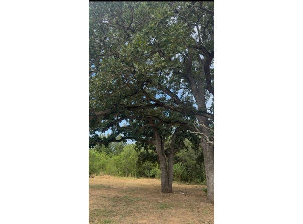 176 Whispering Pines Dr, Bastrop, TX 78602