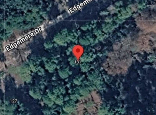131 EDGEMERE Drive, GEORGETOWN, FL 32139