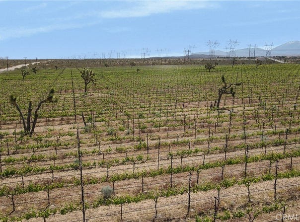 FT Tejon Vic 82nd st E, Palmdale, CA 91352