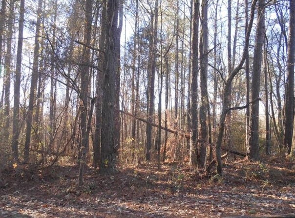 Bartlett Circle, Bowdon, GA 30108